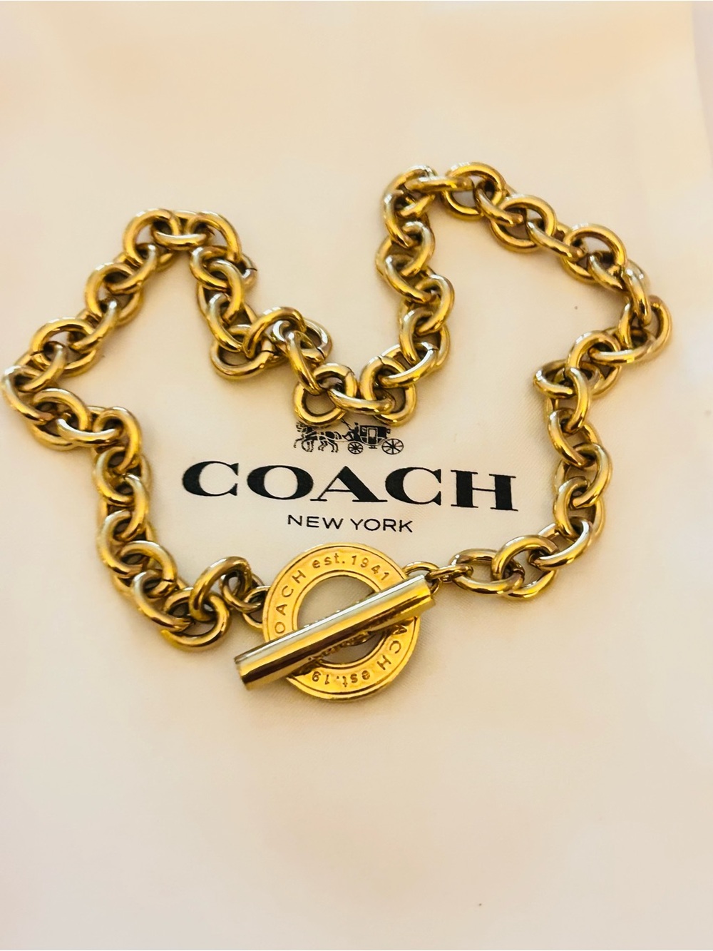 Coach Y2K 1941 Toggle Necklace
